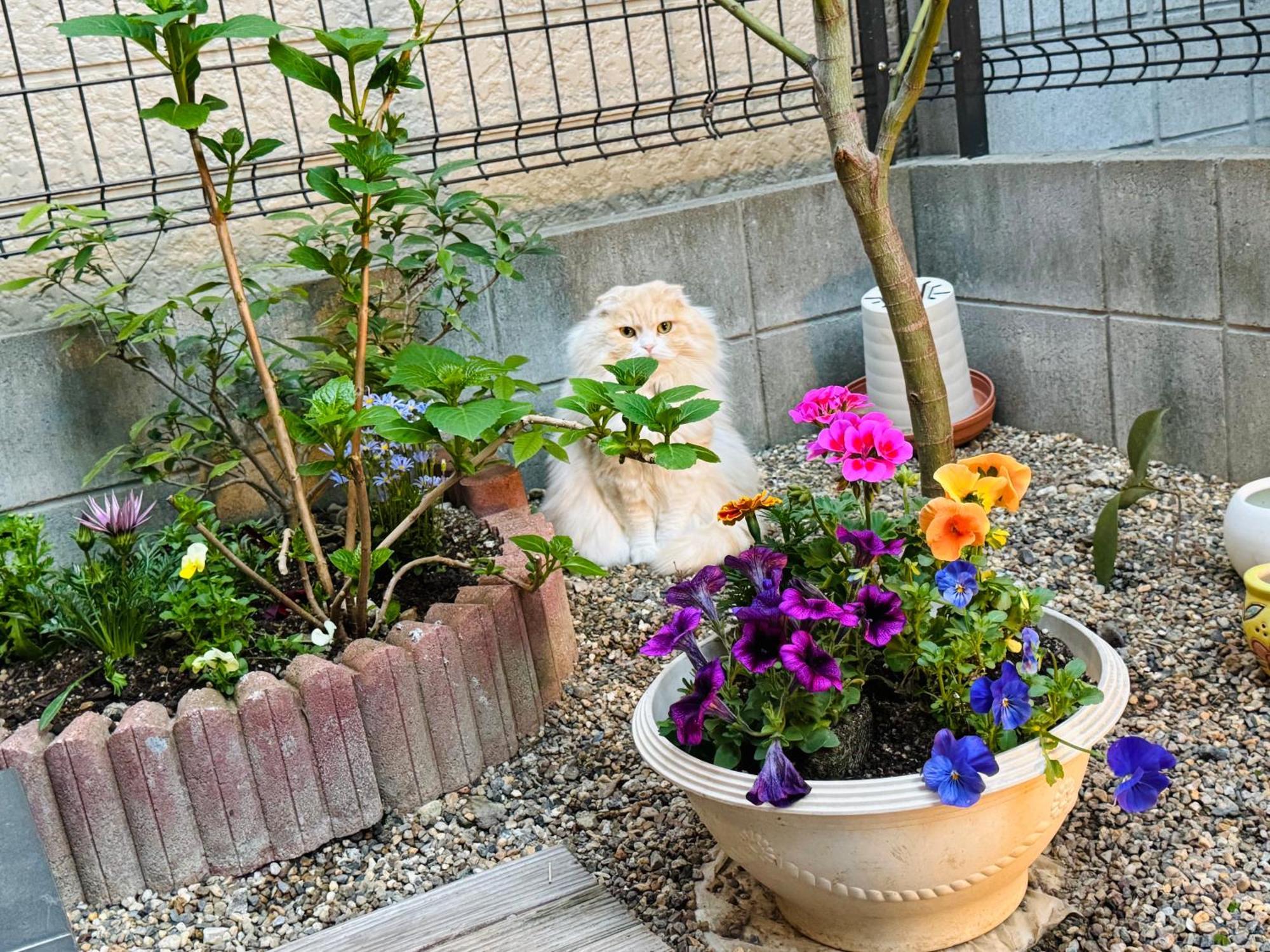 遥華-Haruka House — Photos 3
